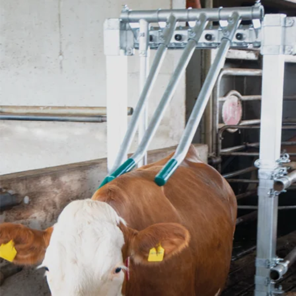 Vienvirziena pirkstu vārti